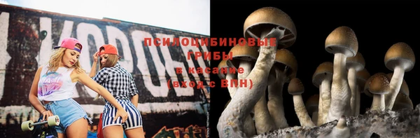 стаф Белоозёрский